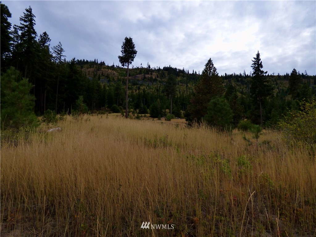 8430 Upper Peoh Point Road Cle Elum, WA 98922 - Photo 8 of 12 Gallery Image 8