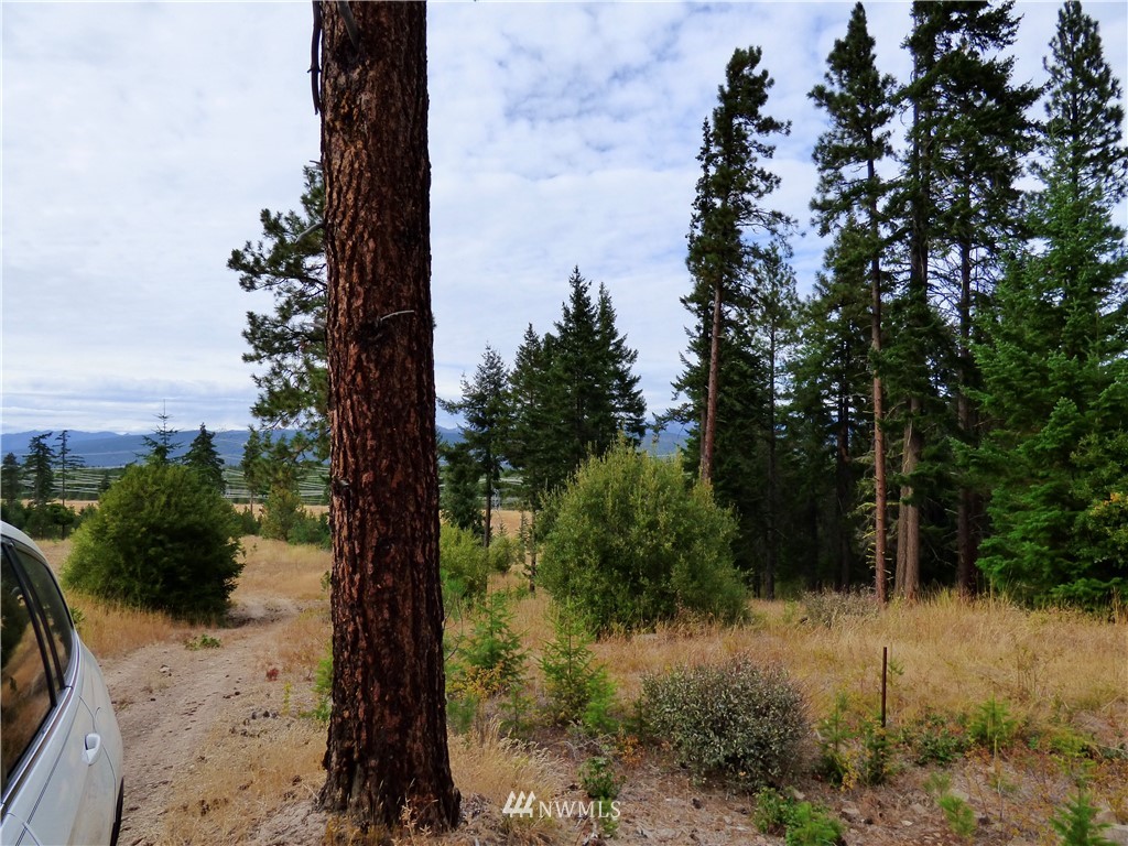 8430 Upper Peoh Point Road Cle Elum, WA 98922 - Photo 9 of 12 Gallery Image 9