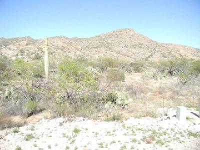 12675 East Roger Road Tucson, AZ 85749 - Photo 1 of 2 Gallery Image 1