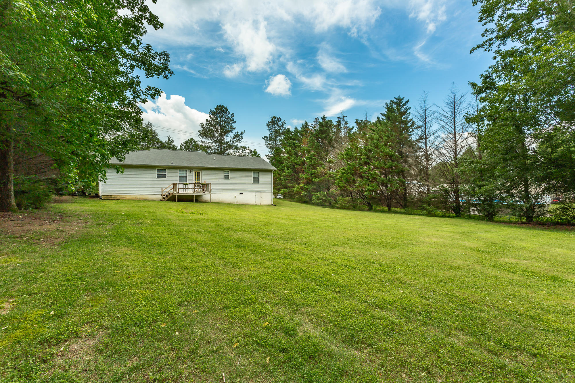 561 Davis Ridge Road Ringgold, GA 30736 - Photo 23 of 31 Back Yard