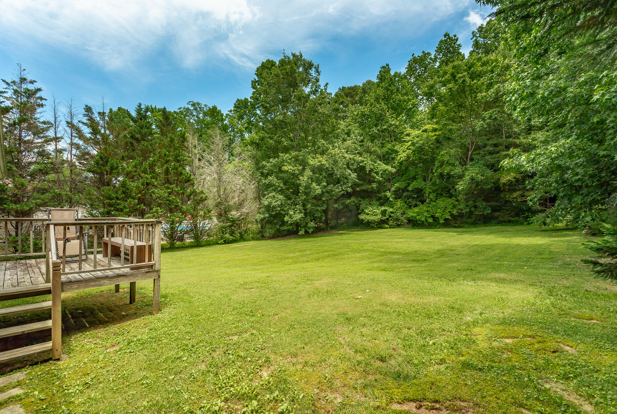 561 Davis Ridge Road Ringgold, GA 30736 - Photo 3 of 31 Back Yard