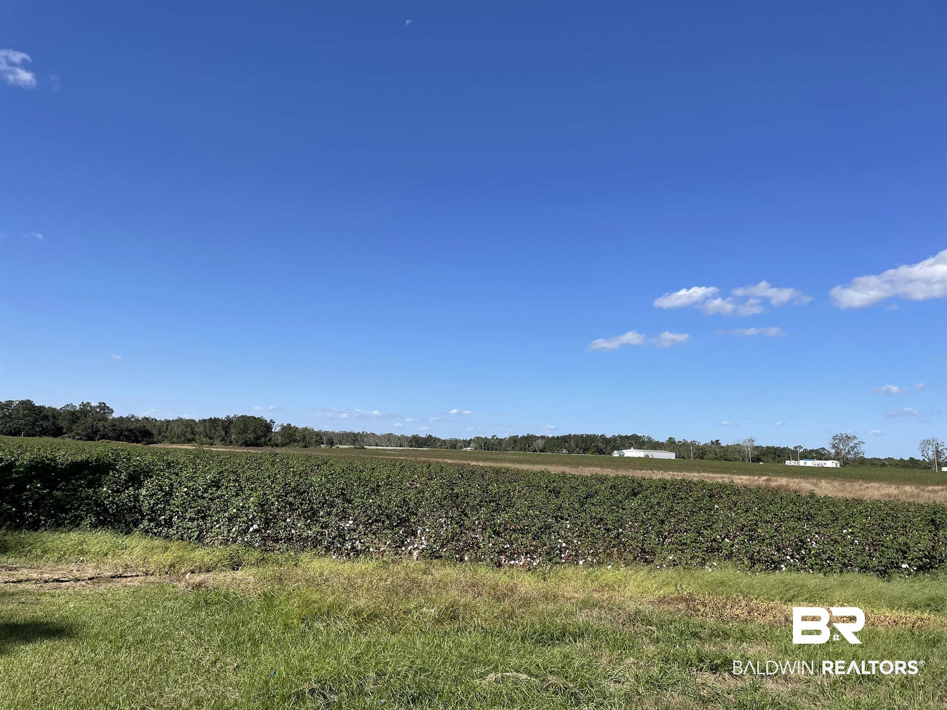 15259 Bay Road East Foley, AL 36535 - Photo 6 of 6