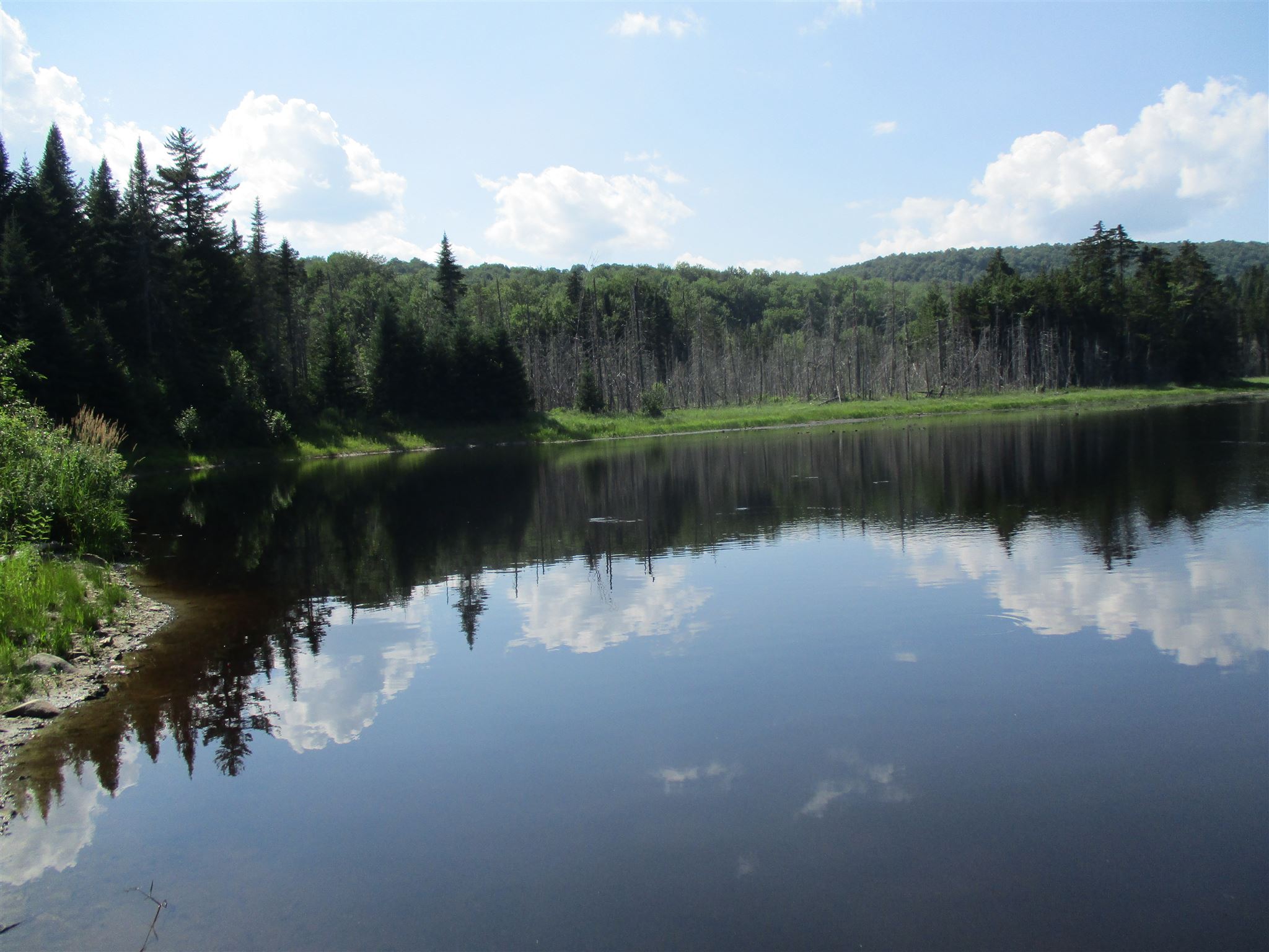0 Mud Pond Road Braintree, VT 05060 - Photo 1 of 15