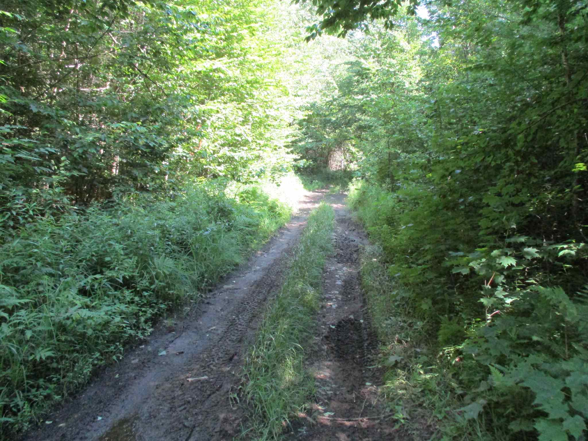 0 Mud Pond Road Braintree, VT 05060 - Photo 13 of 15