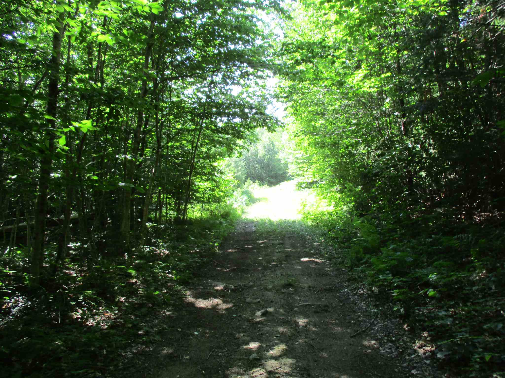 0 Mud Pond Road Braintree, VT 05060 - Photo 14 of 15