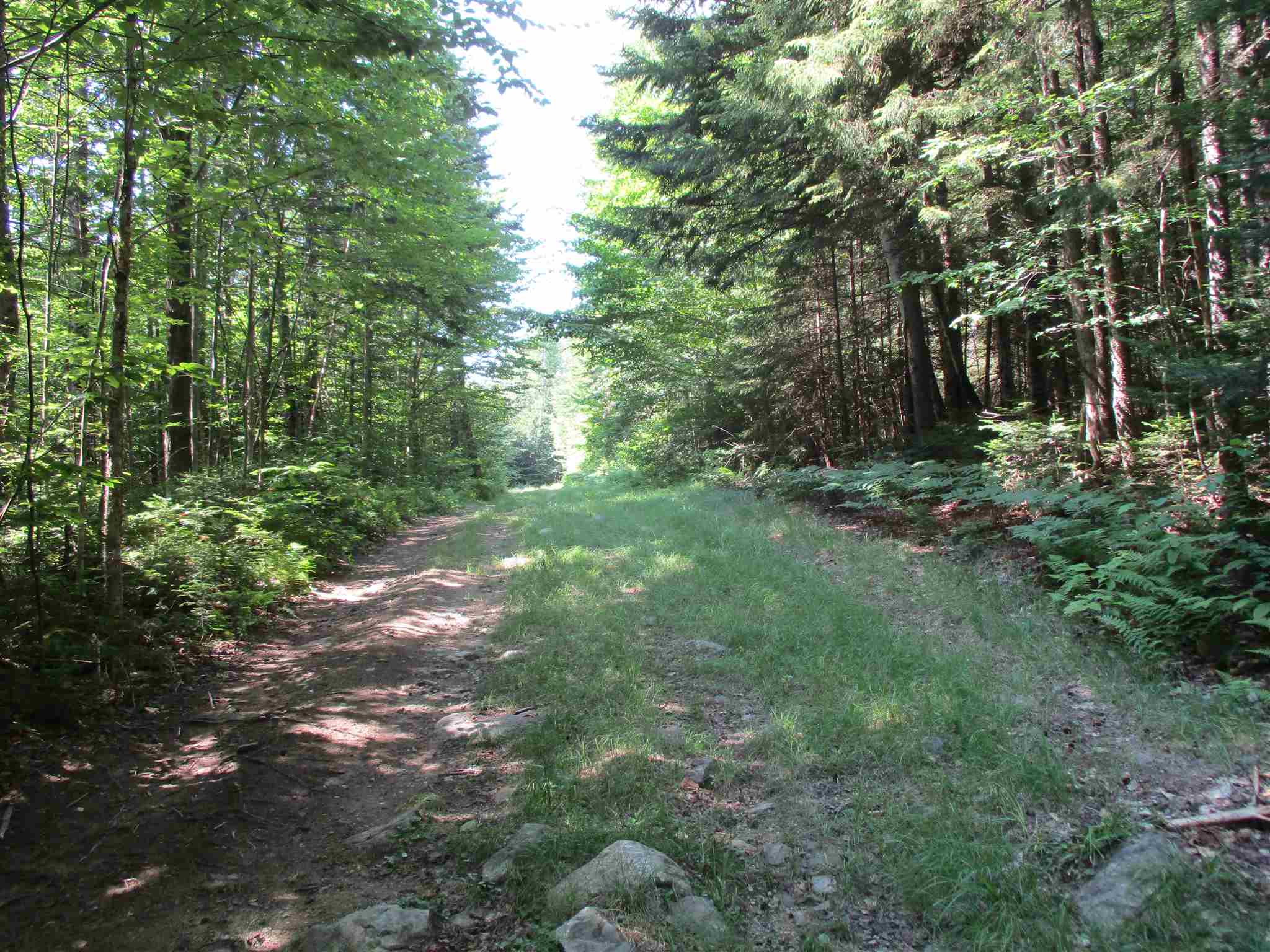 0 Mud Pond Road Braintree, VT 05060 - Photo 5 of 15