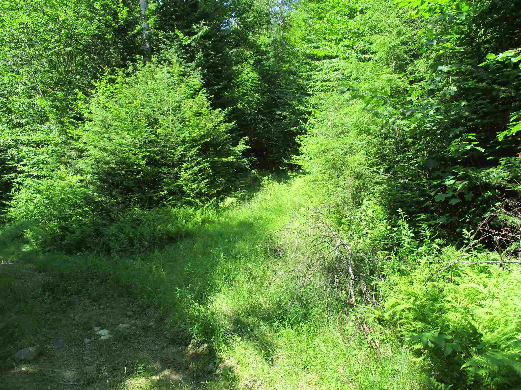 0 Mud Pond Road Braintree, VT 05060 - Photo 6 of 15