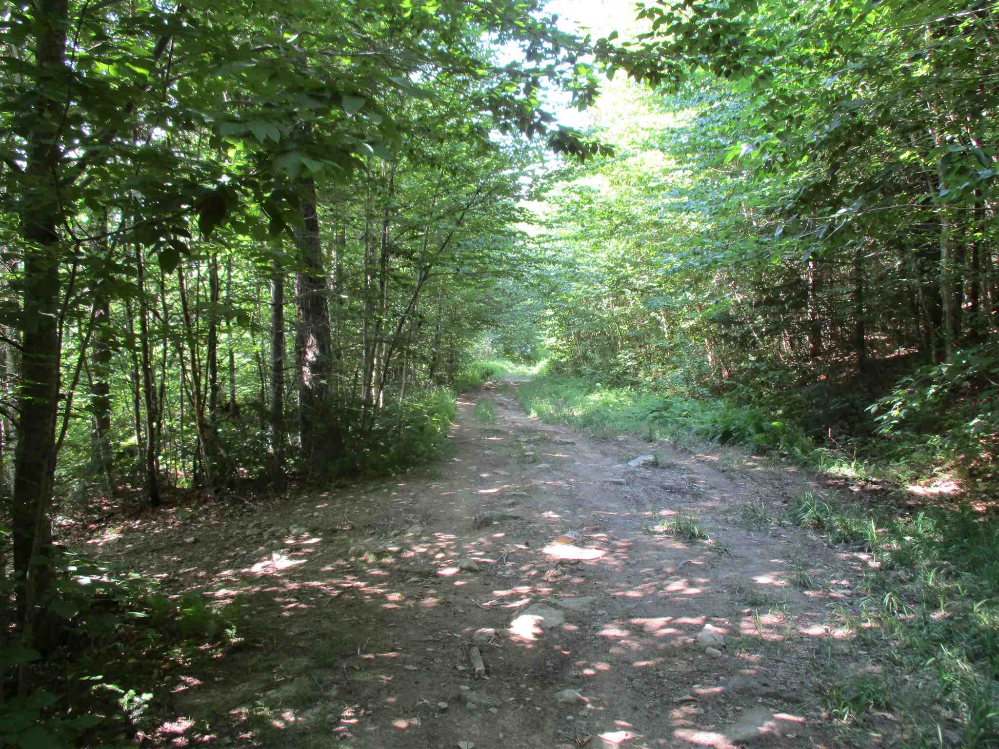 0 Mud Pond Road Braintree, VT 05060 - Photo 7 of 15