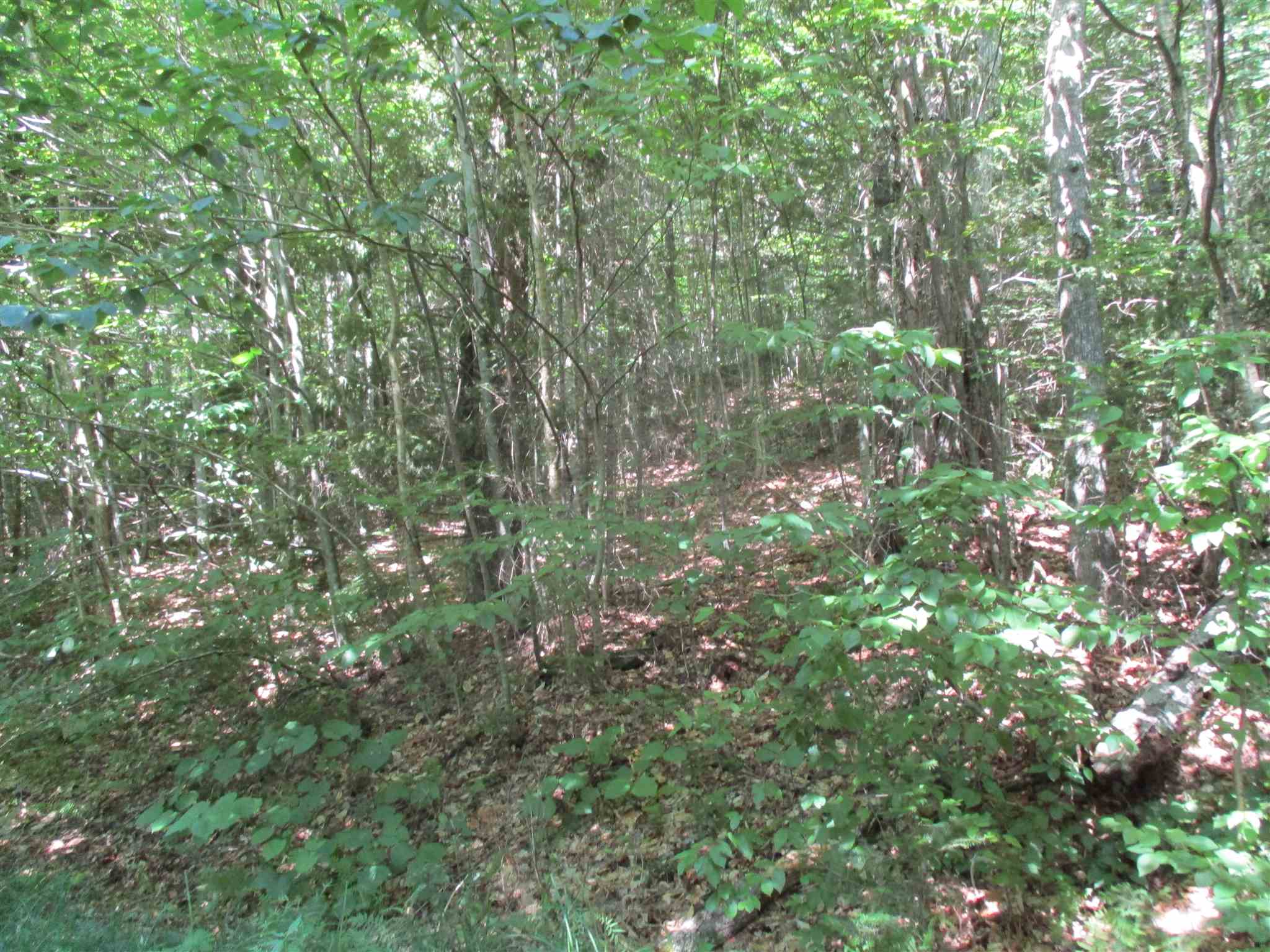0 Mud Pond Road Braintree, VT 05060 - Photo 8 of 15