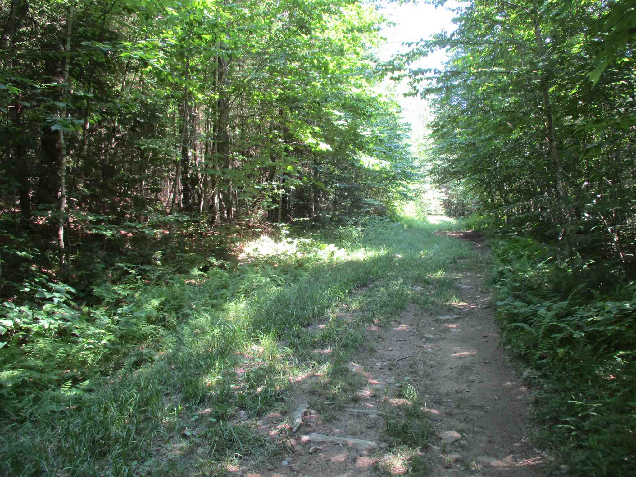 0 Mud Pond Road Braintree, VT 05060 - Photo 9 of 15