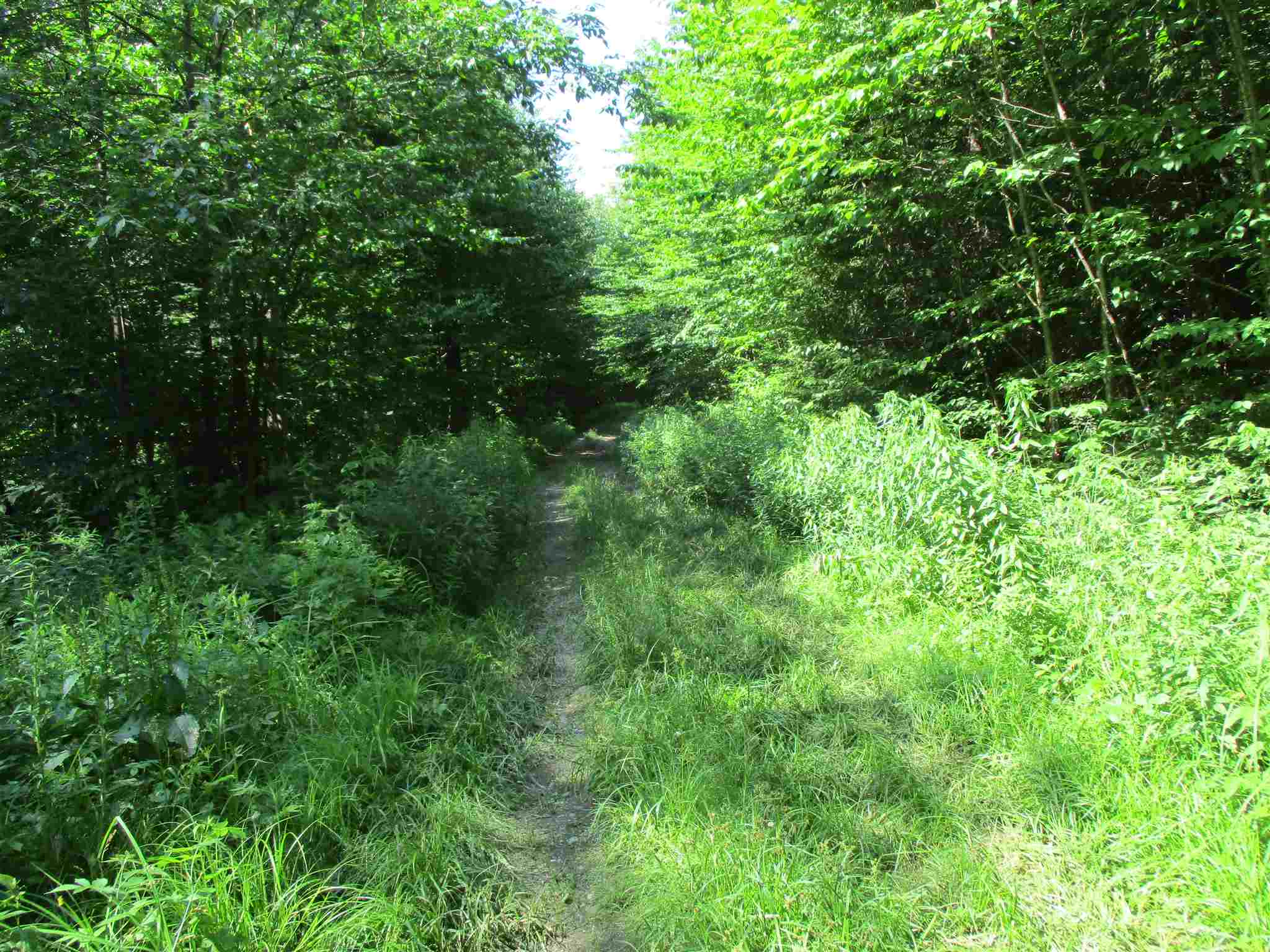 0 Mud Pond Road Braintree, VT 05060 - Photo 10 of 15