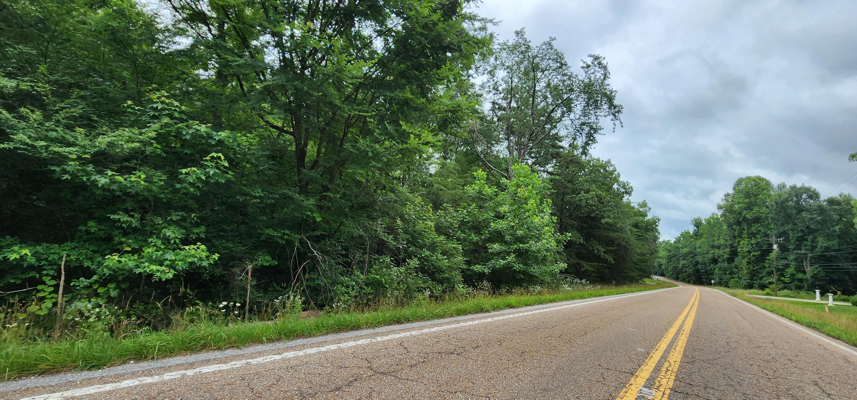0 Sequatchie Mountain Road Sequatchie, TN 37374 - Photo 6 of 9 1000053939