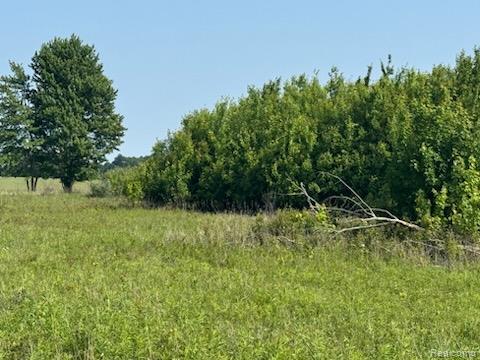 1 Duquette Road Peck, MI 48466 - Photo 8 of 40