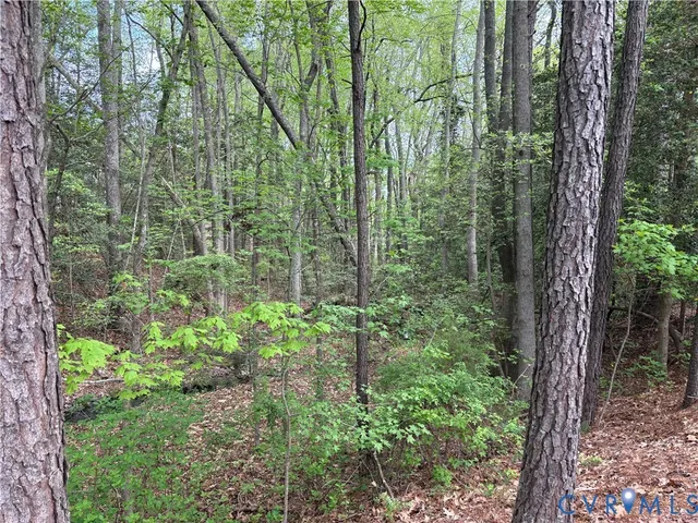 $79,950 | 0 Jacks Cove Lane, White Stone, VA 22578