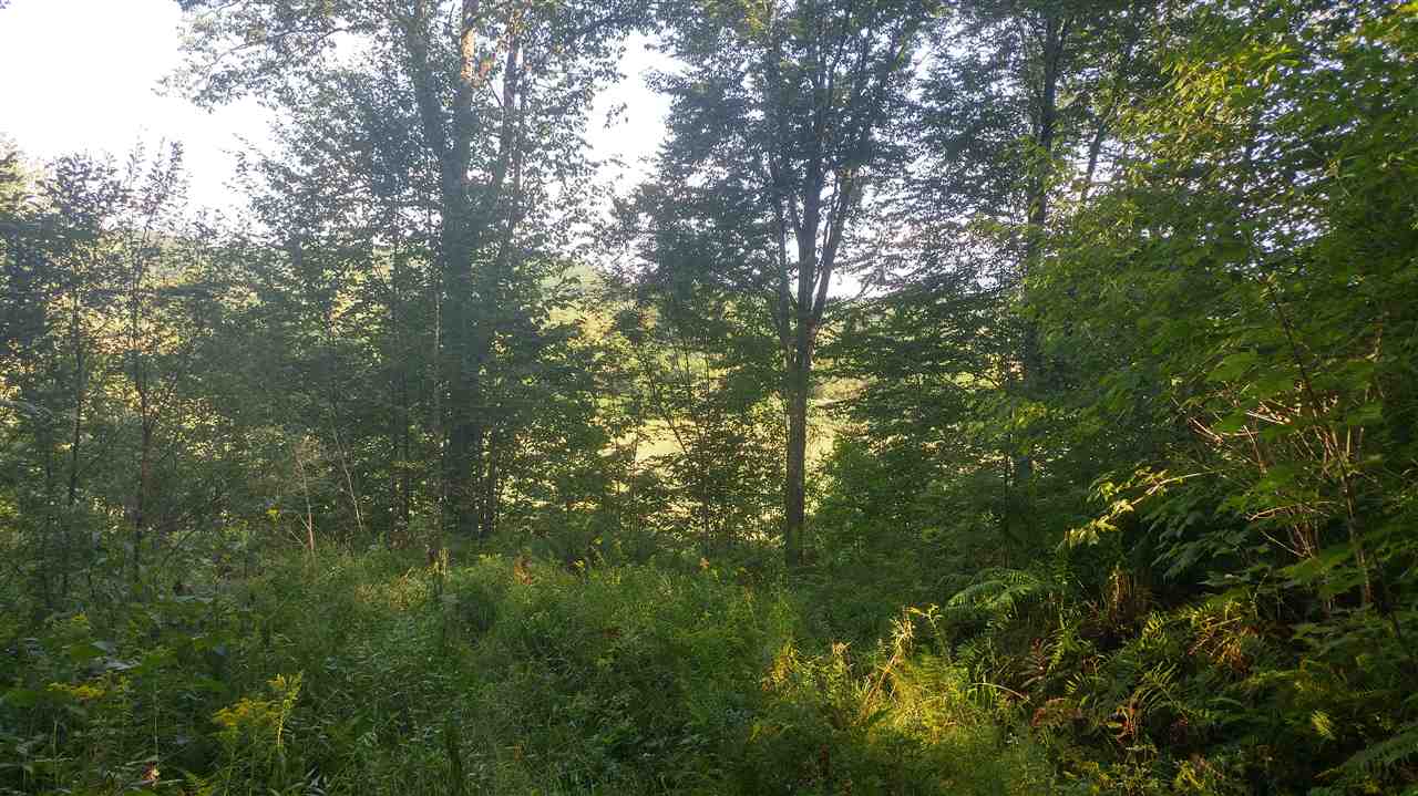 1195 River Ridge Road, Unit 13 Morristown, VT 05661 - Photo 3 of 5