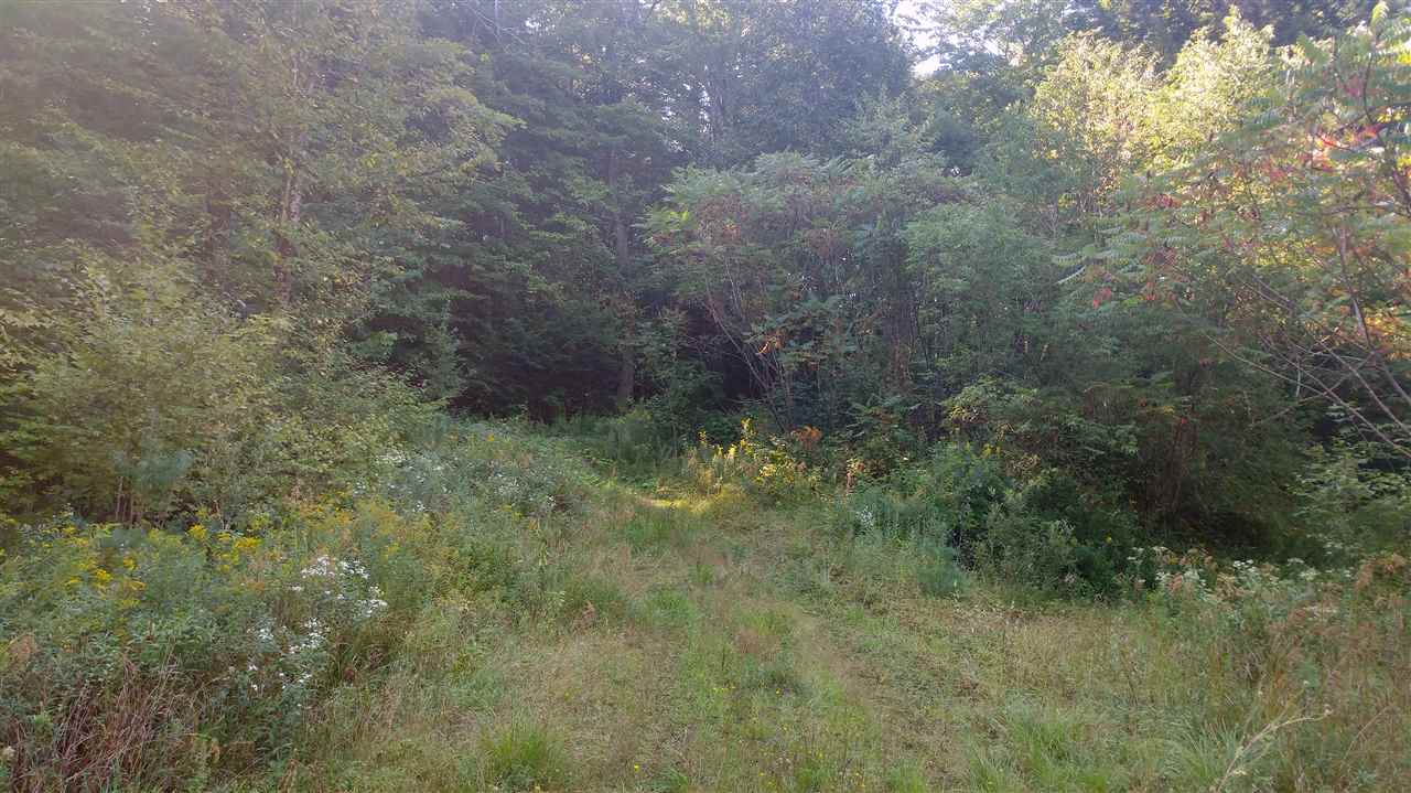 1195 River Ridge Road, Unit 13 Morristown, VT 05661 - Photo 4 of 5