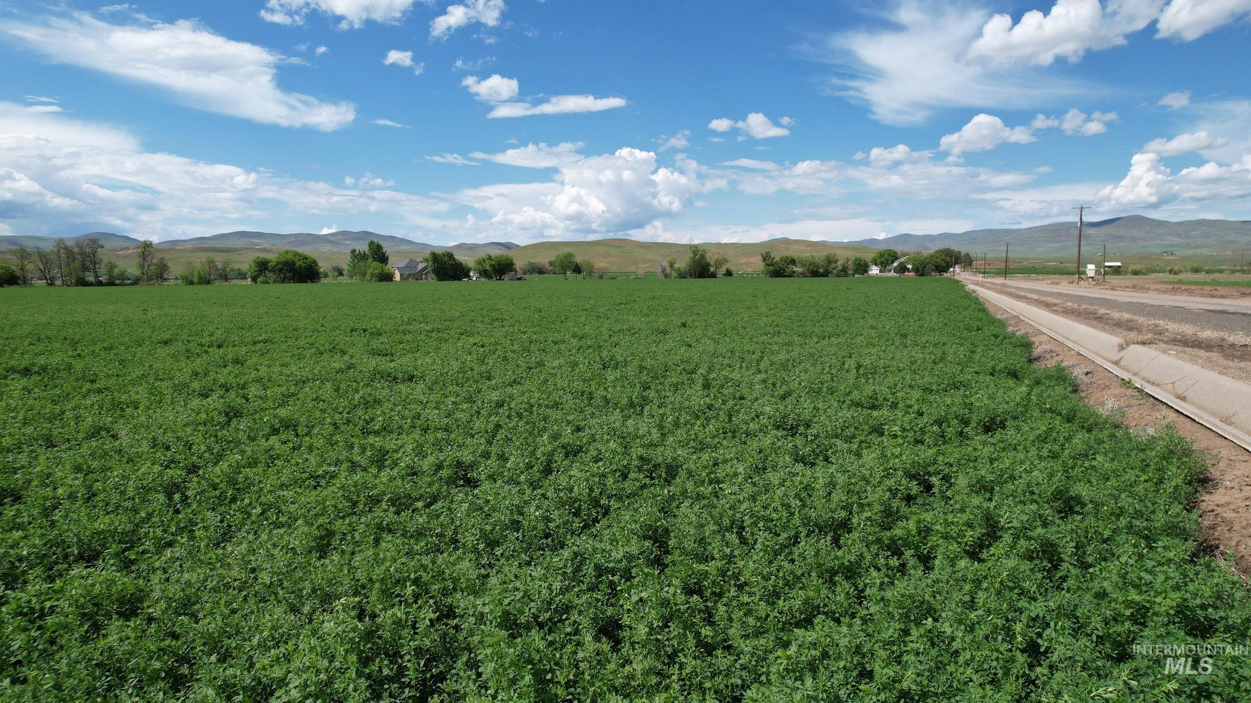2 Olds Ferry Road Weiser, ID 83672 - Photo 2 of 5