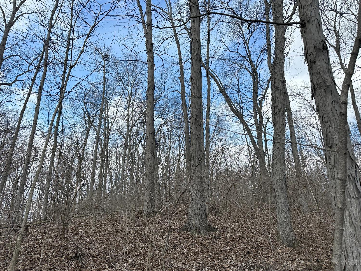 0 Wilson Road Winchester, OH 45697 - Photo 54 of 69