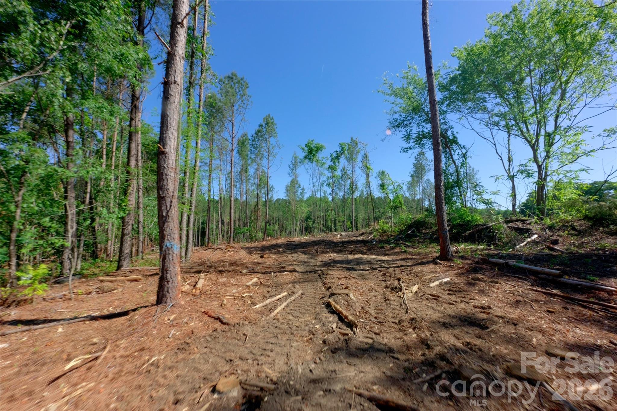 0 Carson Road, Unit 2 Cleveland, NC 27013 - Photo 6 of 24 Gallery Image 6