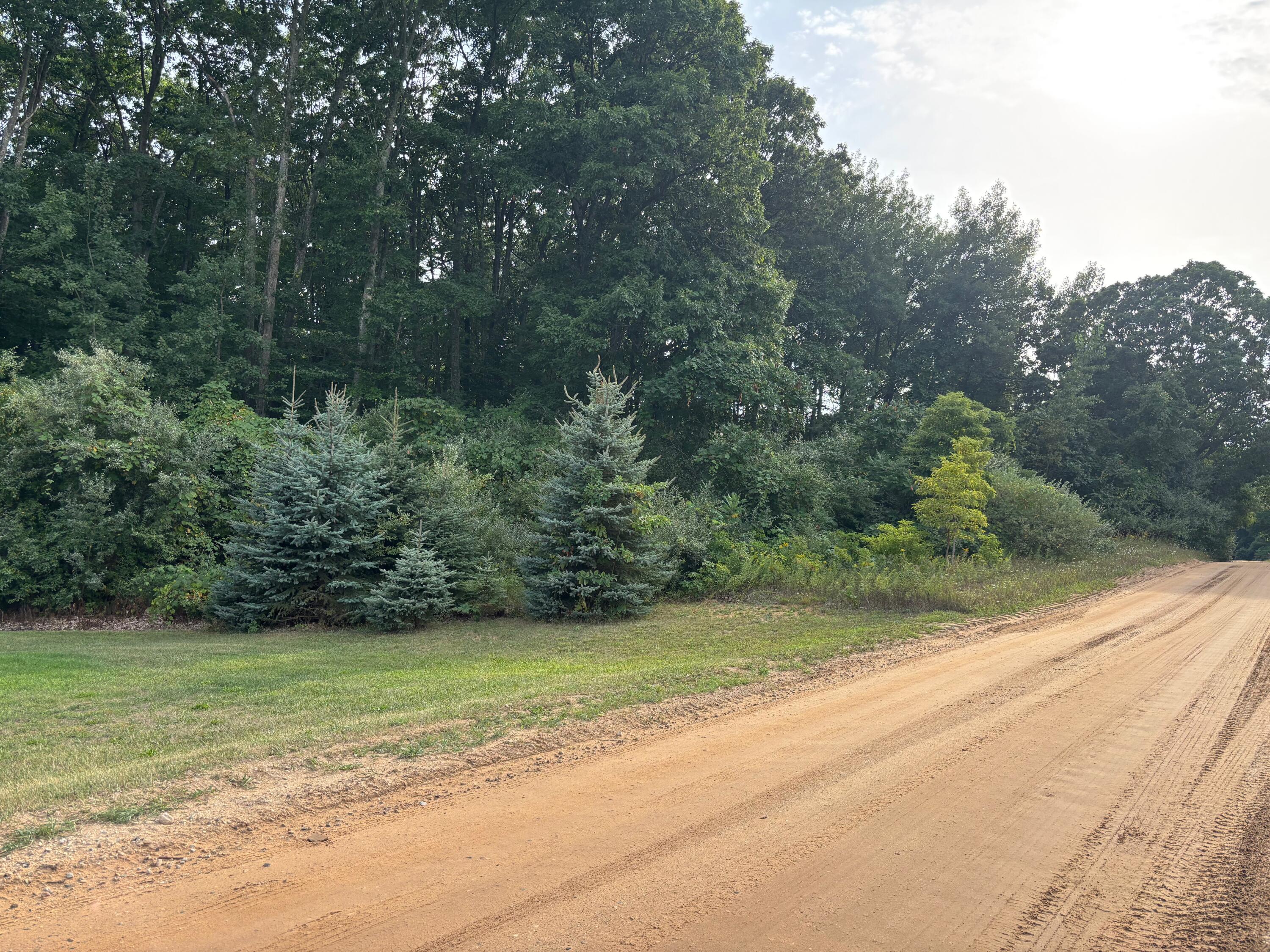 2905 East Jackson Road Walkerville, MI 49459 - Photo 59 of 64 IMG_7512