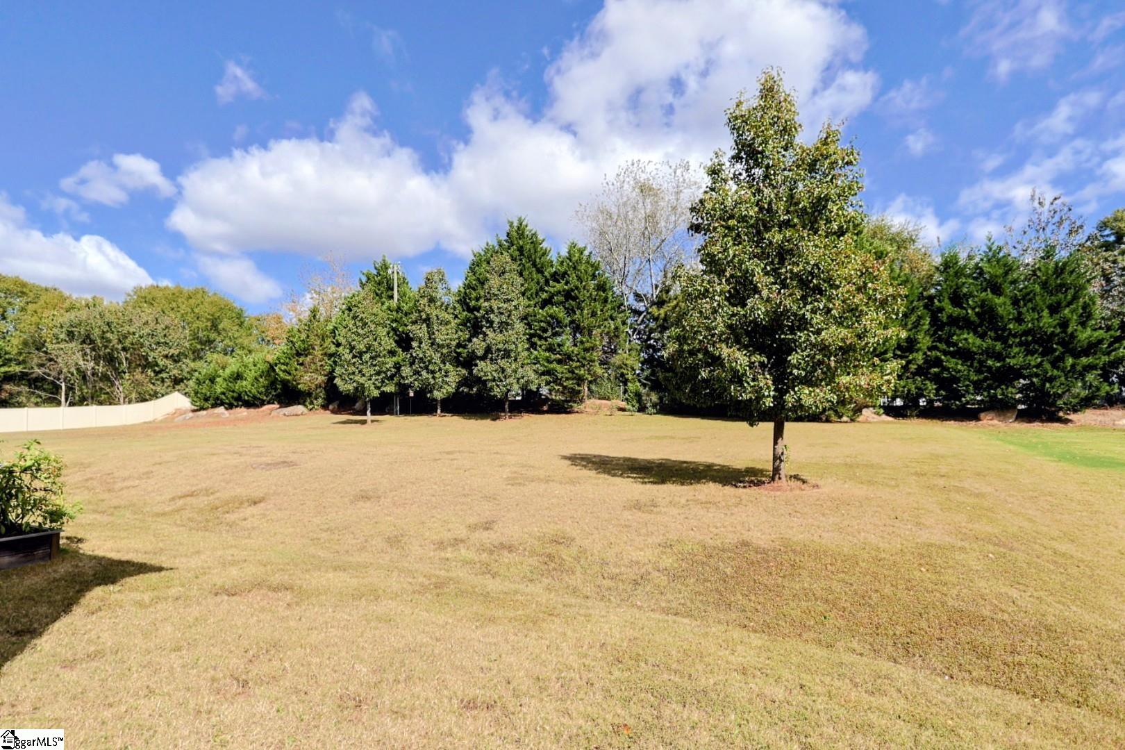 209 Tea Olive Place Simpsonville, SC 29680 - Photo 28 of 28
