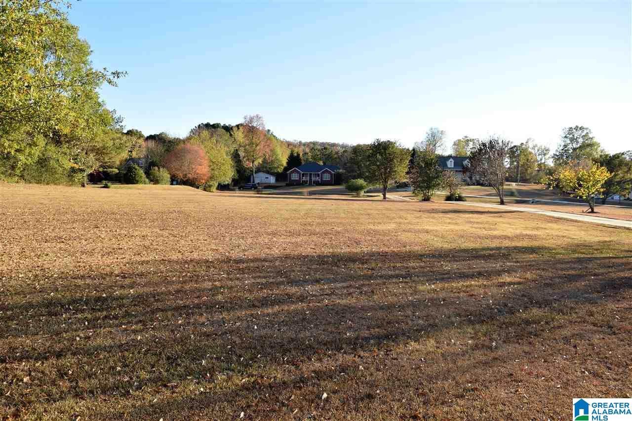 7441 Old Springville Road Trussville, AL 35173 - Photo 49 of 50