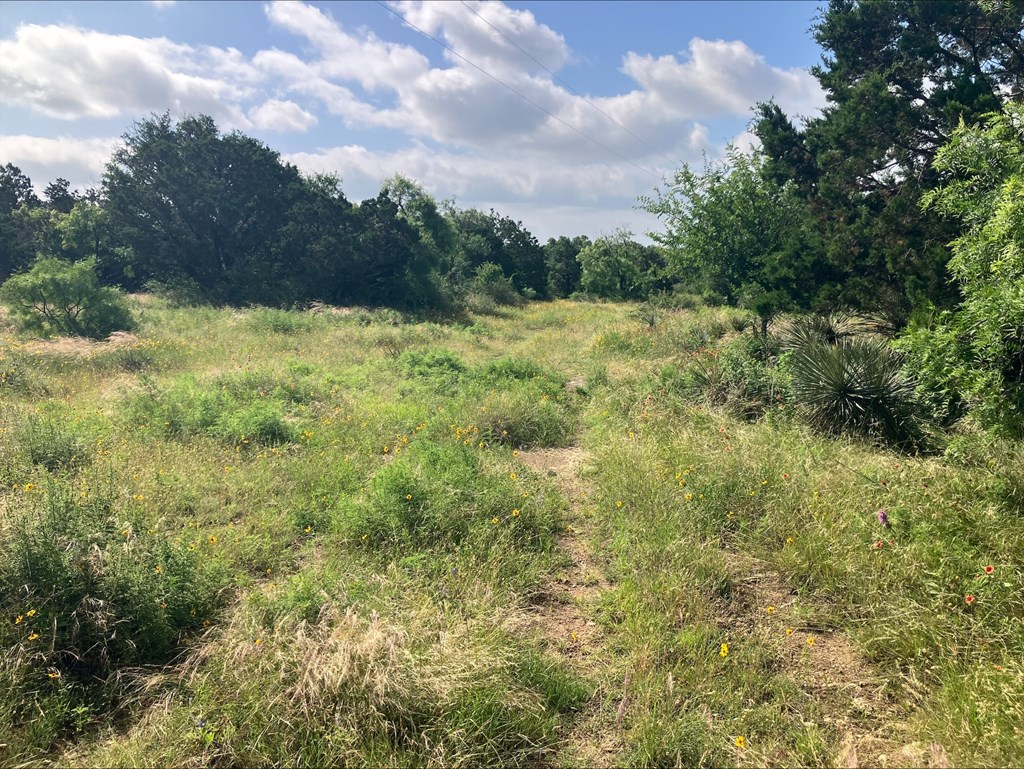 4605 West Ranch Road Mason, TX 76856 - Photo 21 of 26