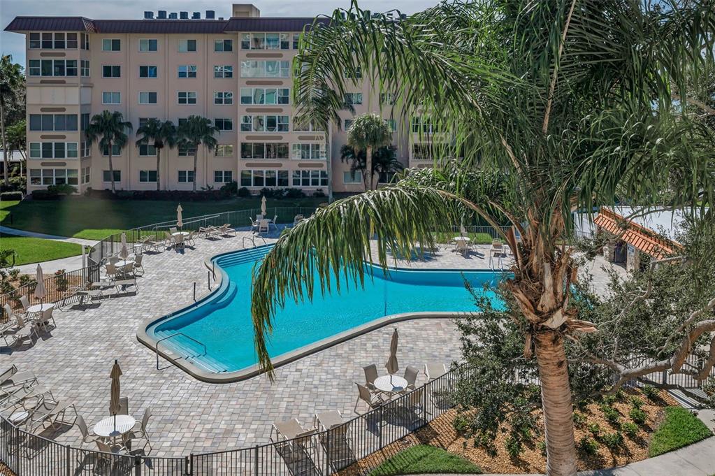632 Edgewater Drive, Unit 433 Dunedin, FL 34698 - Photo 31 of 42 a view of a swimming pool with a patio