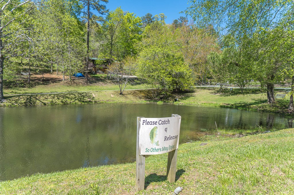 509 Lonesome Pine Road Murphy, NC 28906 - Photo 67 of 70 a view of lake