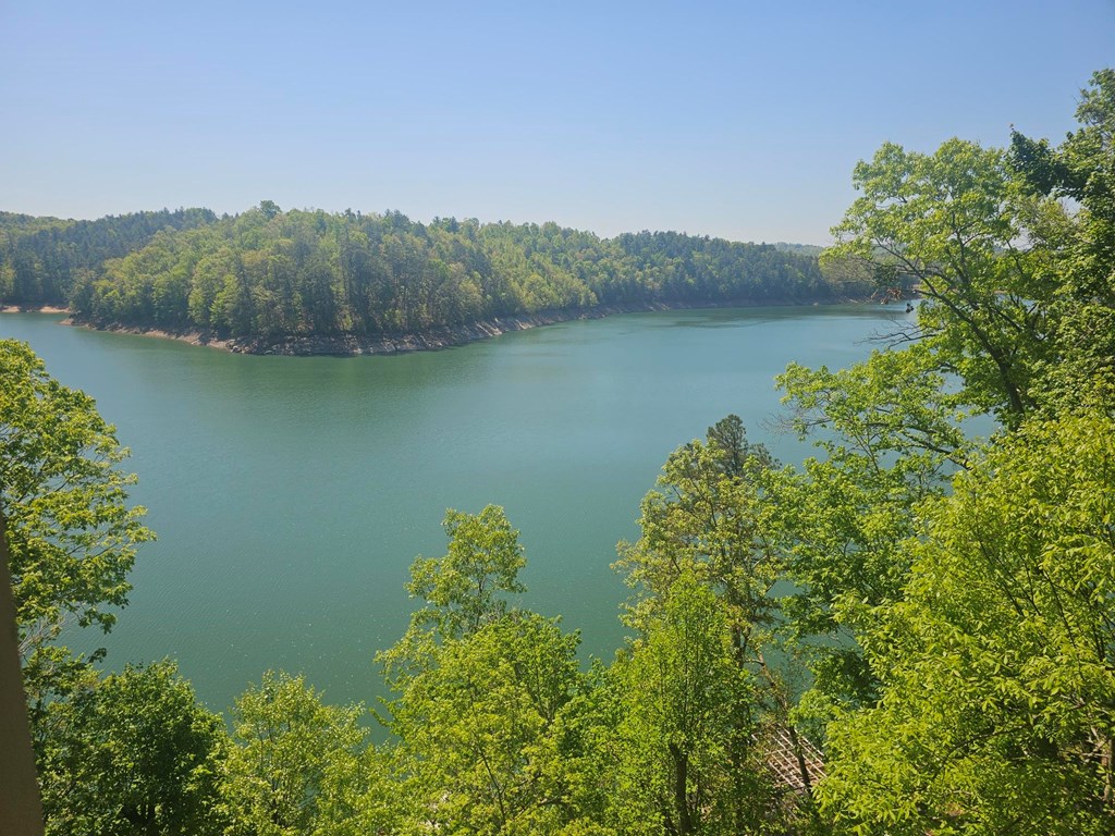 509 Lonesome Pine Road Murphy, NC 28906 - Photo 69 of 70 a view of a lake with a mountain in the background