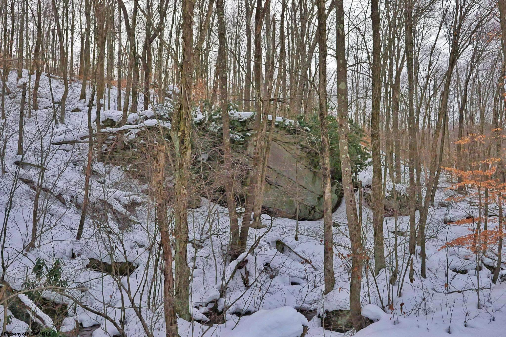 Tbd Frog Hollow Road Tunnelton, WV 26444 - Photo 10 of 22 Gallery Image 10
