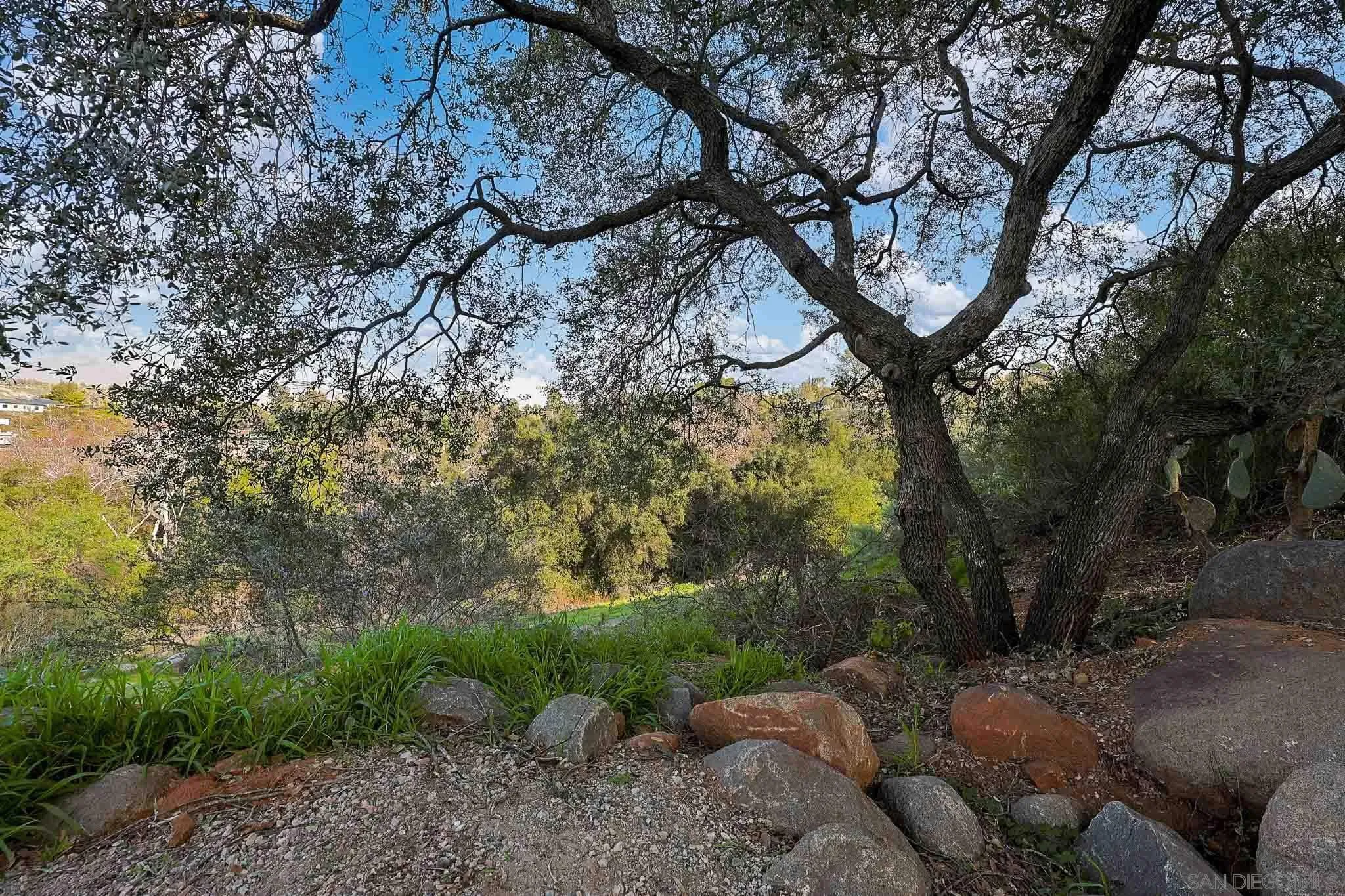 1392 Nancy Lee Lane Alpine, CA 91901 - Photo 36 of 49