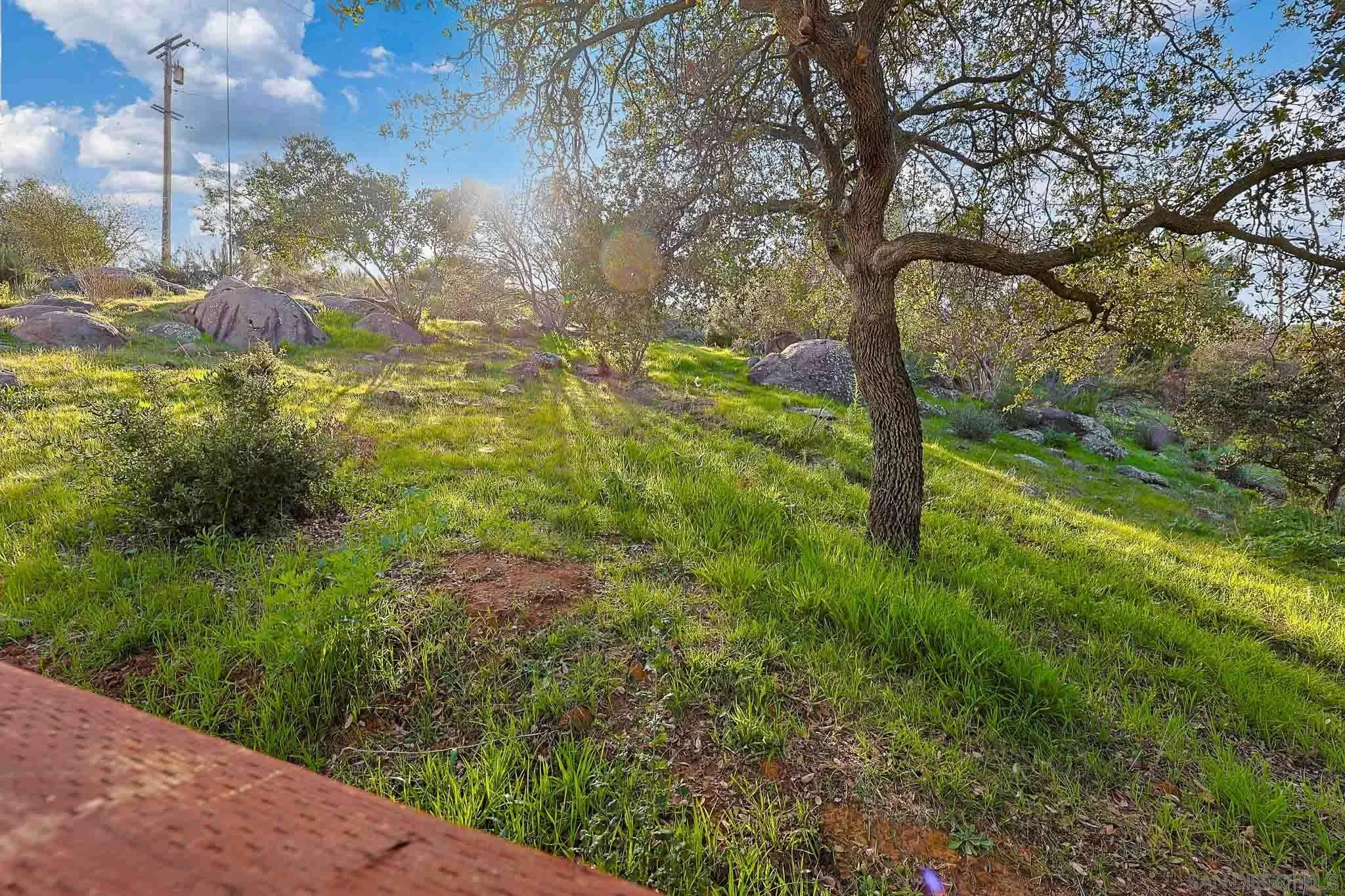 1392 Nancy Lee Lane Alpine, CA 91901 - Photo 37 of 49