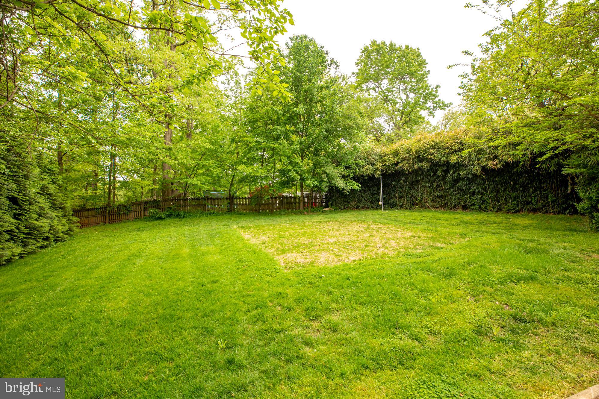 4052 Hunt Road Fairfax, VA 22032 - Photo 39 of 49 Backyard