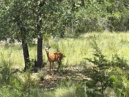 $32,000 | 21501 Paine Avenue, Lago Vista, TX 78645