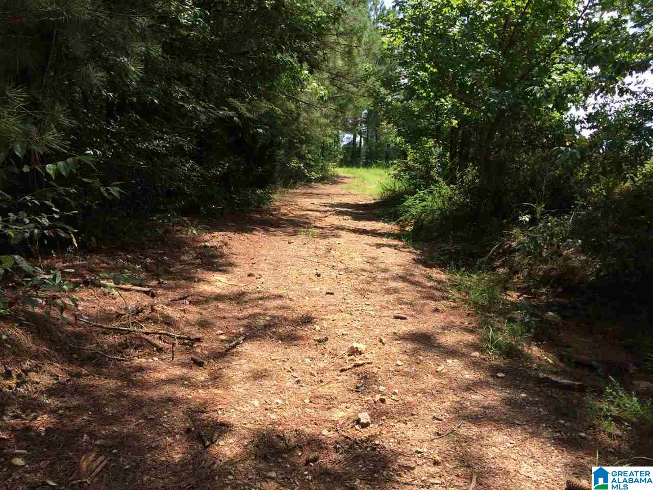 Spunky Hollow Road, Unit 18 7 Oneonta, AL 35121 - Photo 8 of 46