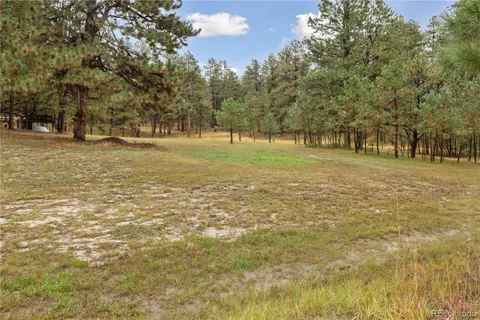 a view of yard with trees