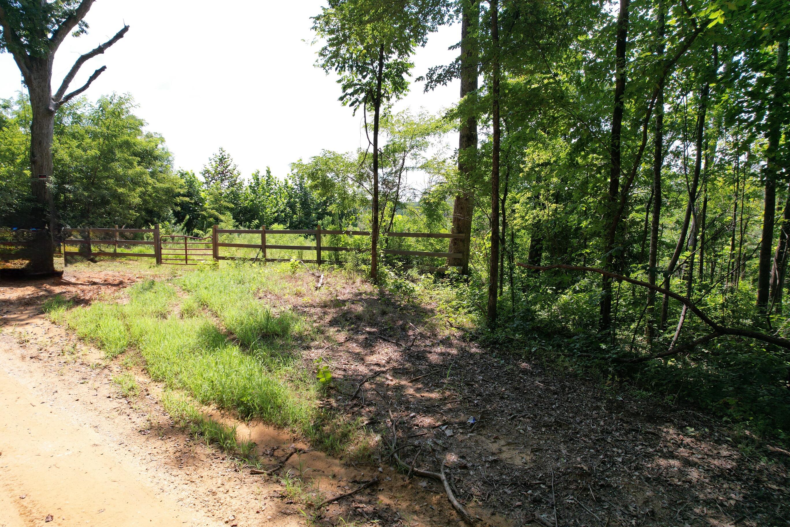 153 County Road New Albany, MS 38652 - Photo 8 of 17 Gallery Image 8