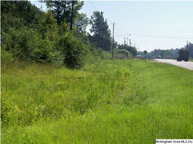 0 Highway 11 Vance Al Vance, AL 35490 - Photo 4 of 8