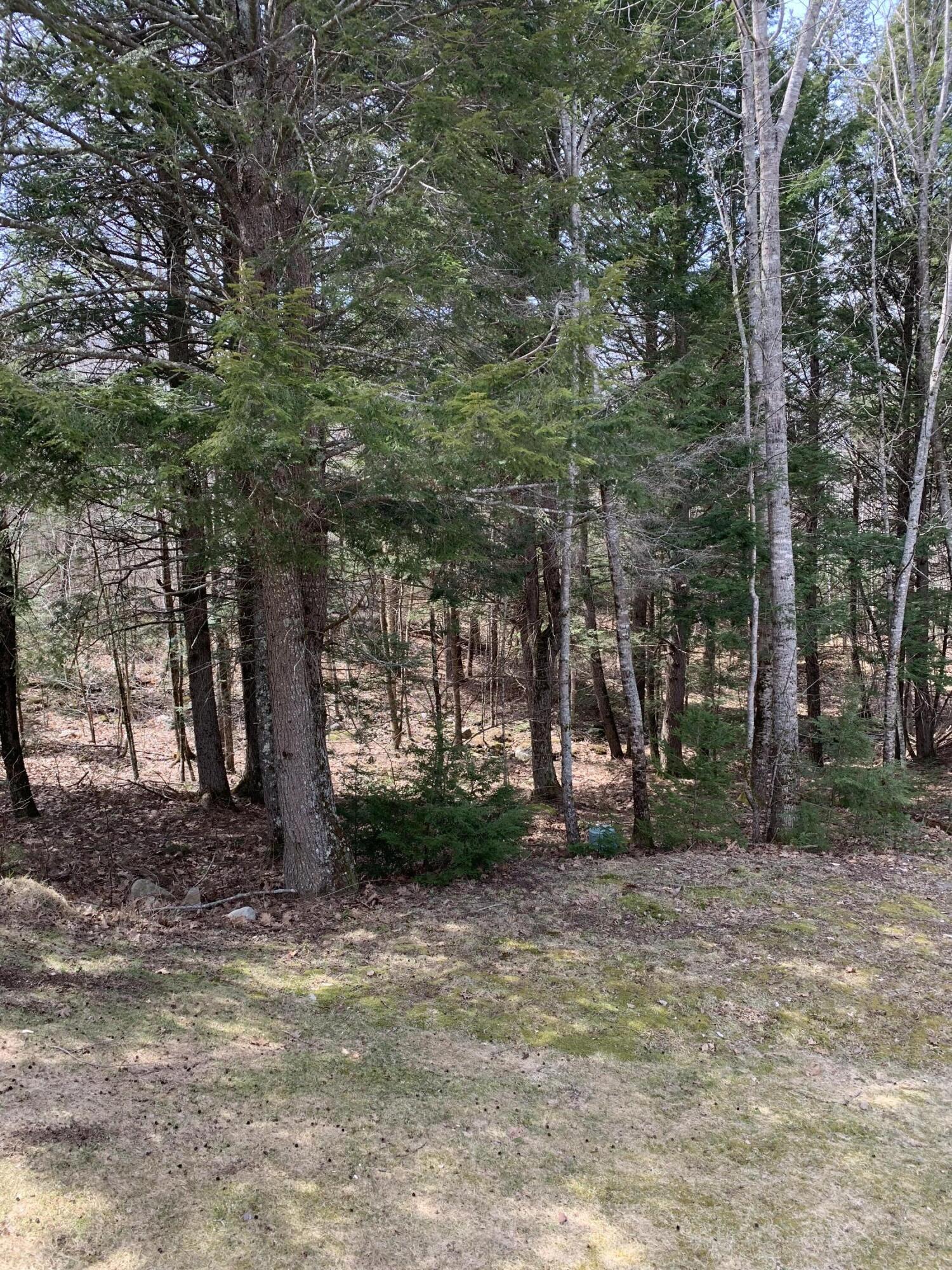 36 Pebble Road Jefferson, ME 04348 - Photo 52 of 59 Side Yard