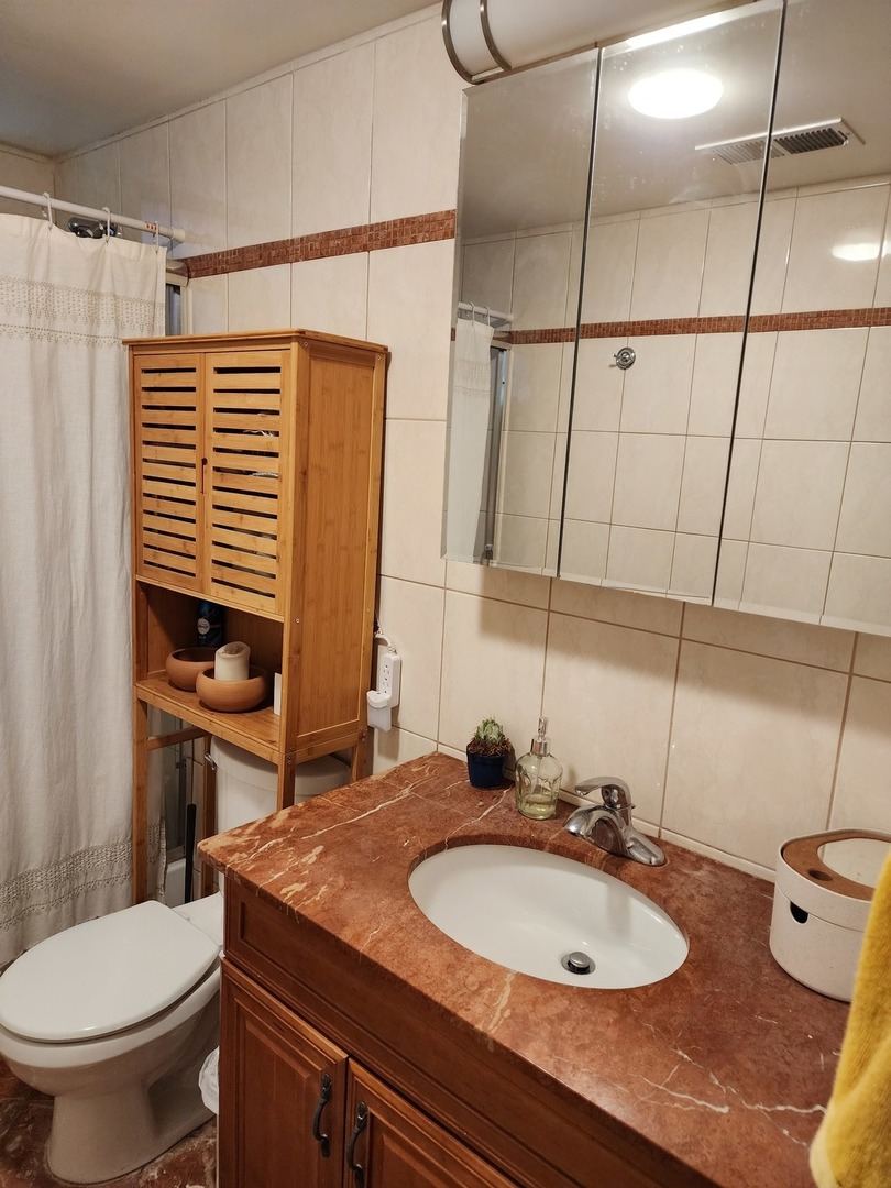 900 West Margate Terrace, Unit 2A Chicago, IL 60640 - Photo 14 of 21 a bathroom with a sink a toilet and mirror