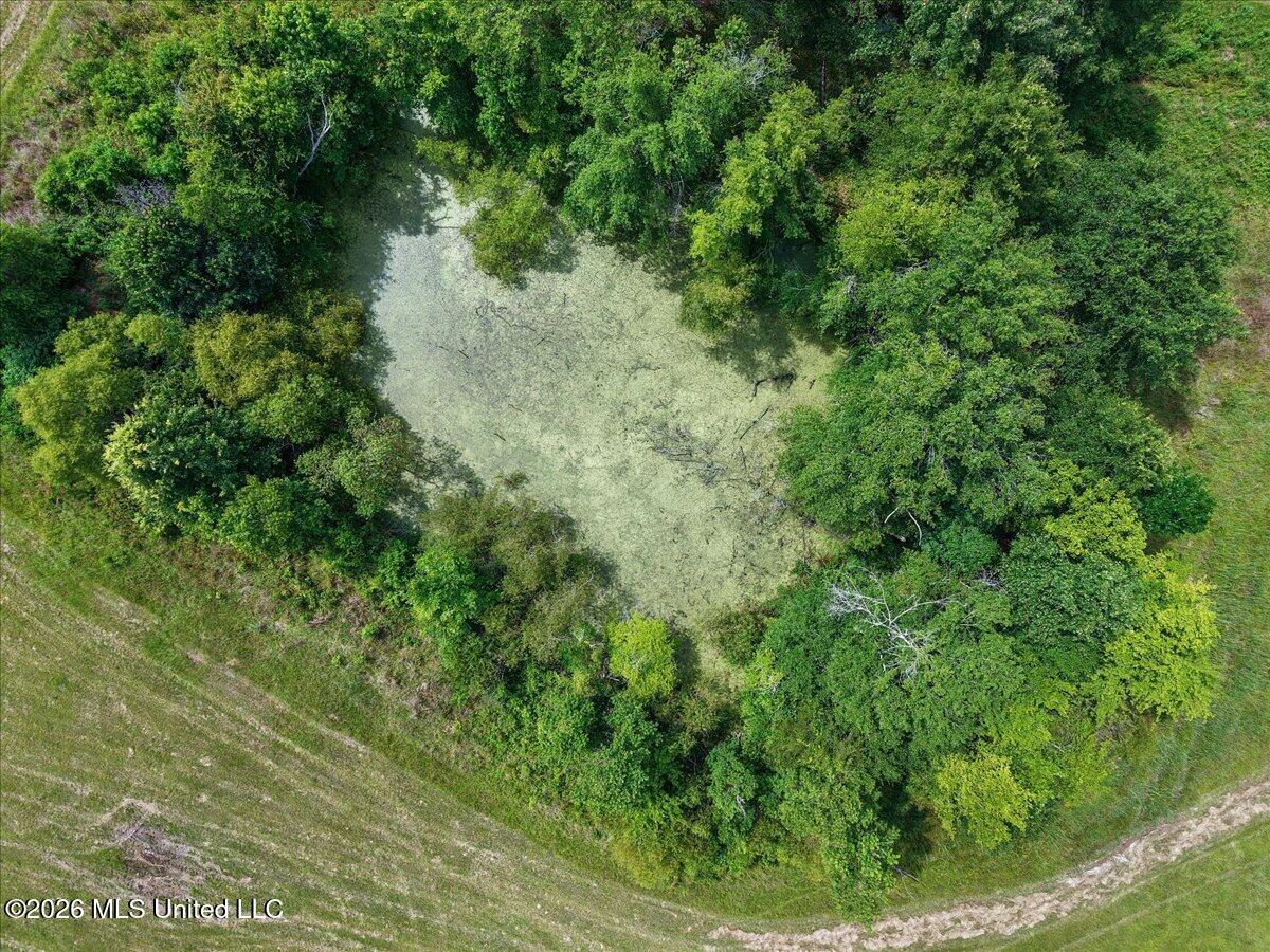 0 Us-80 Forest Forest, MS 39074 - Photo 13 of 16 11-IMG_3604