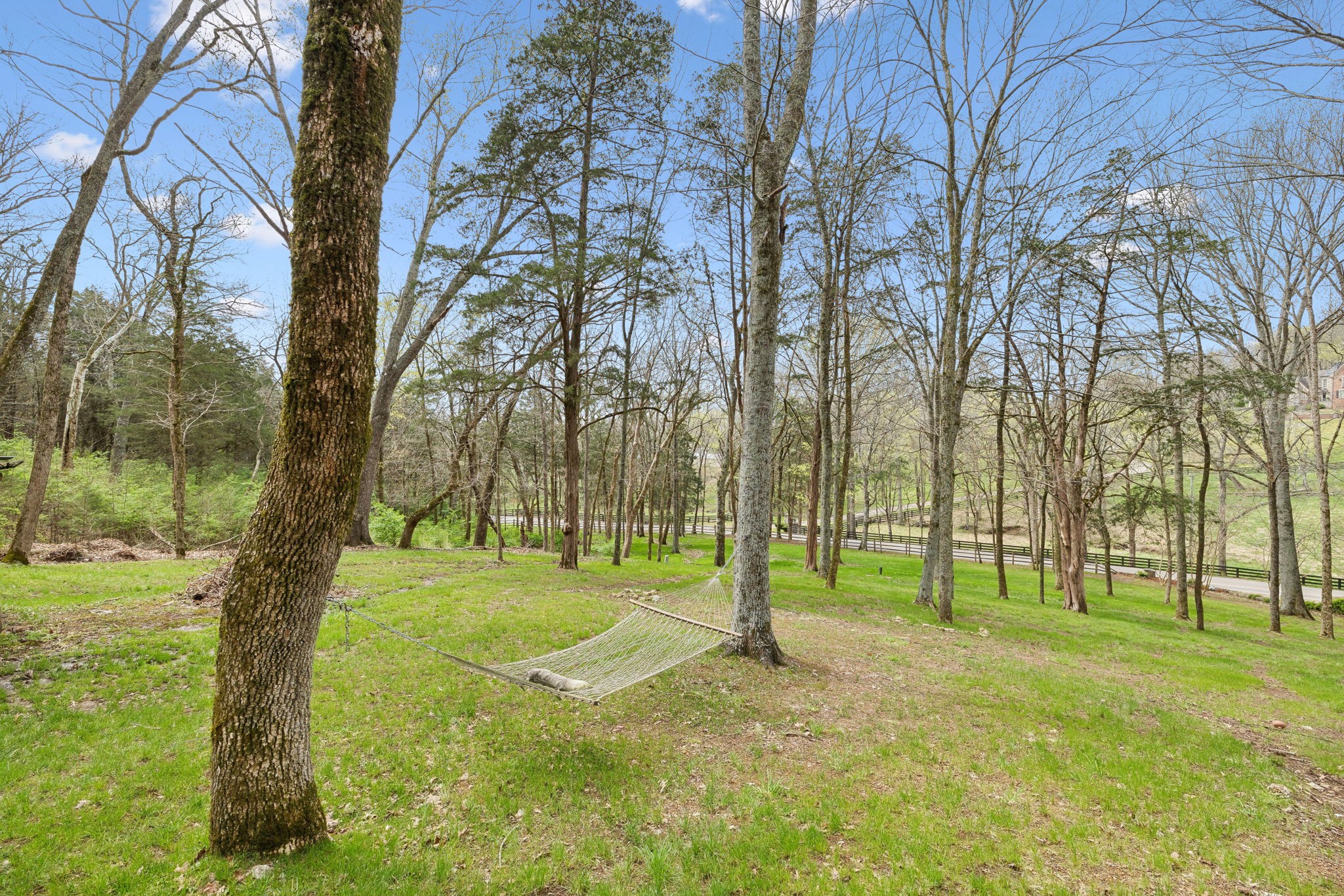 3110 McMillan Road Franklin, TN 37064 - Photo 81 of 96 a view of a park with a tree