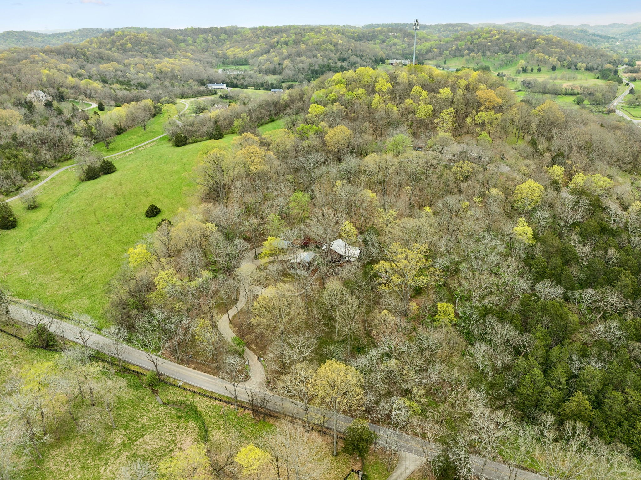 3110 McMillan Road Franklin, TN 37064 - Photo 85 of 96 a view of a field with trees in the background
