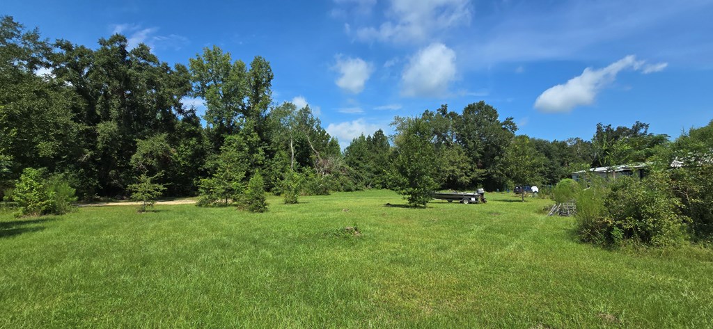 4739 Wallace Buie Road Columbia, AL 36319 - Photo 4 of 54