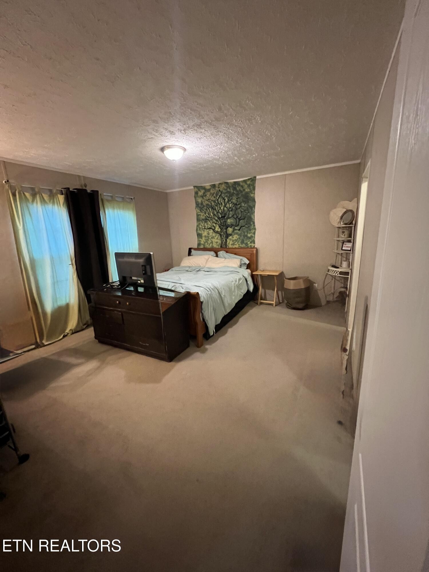 10207 Alex Bales Road Kodak, TN 37764 - Photo 8 of 18 a bed room with furniture and a window