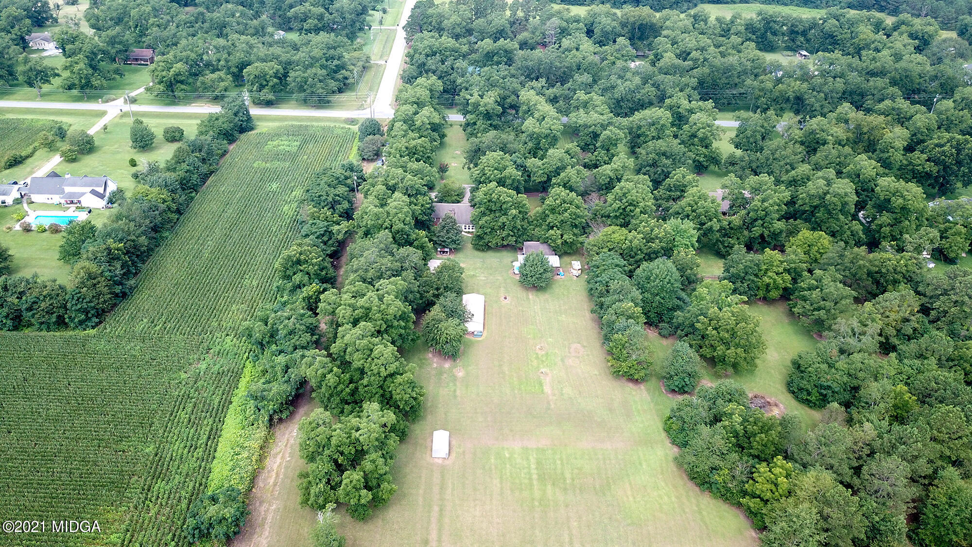 1571 Walker Road Byron, GA 31008 - Photo 58 of 60 a view of a yard with plants and large trees