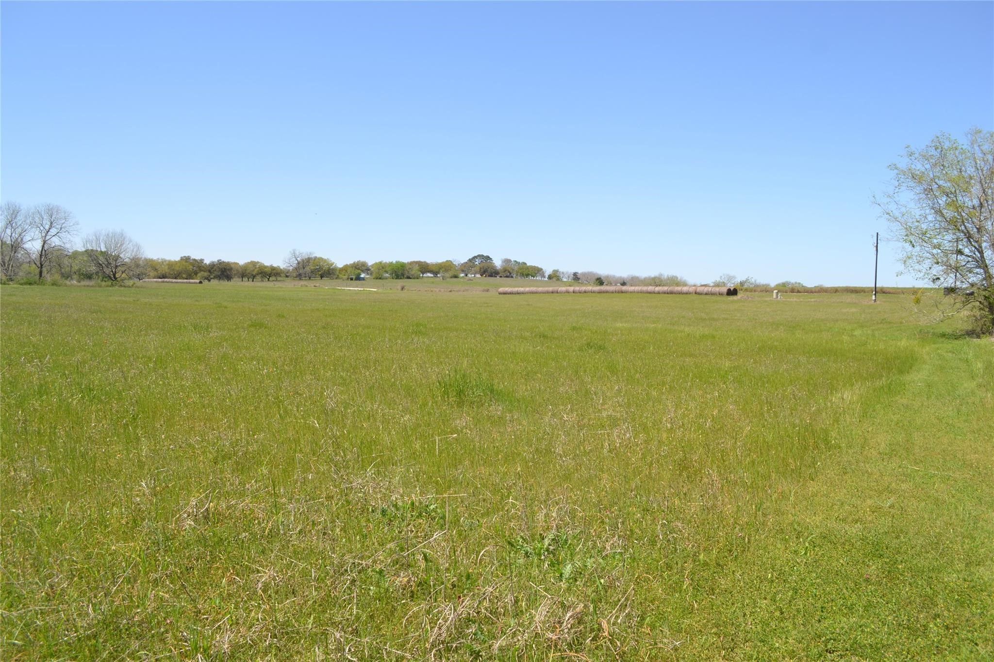 5568 Bleiblerville Road Bleiblerville, TX 78931 - Photo 4 of 12