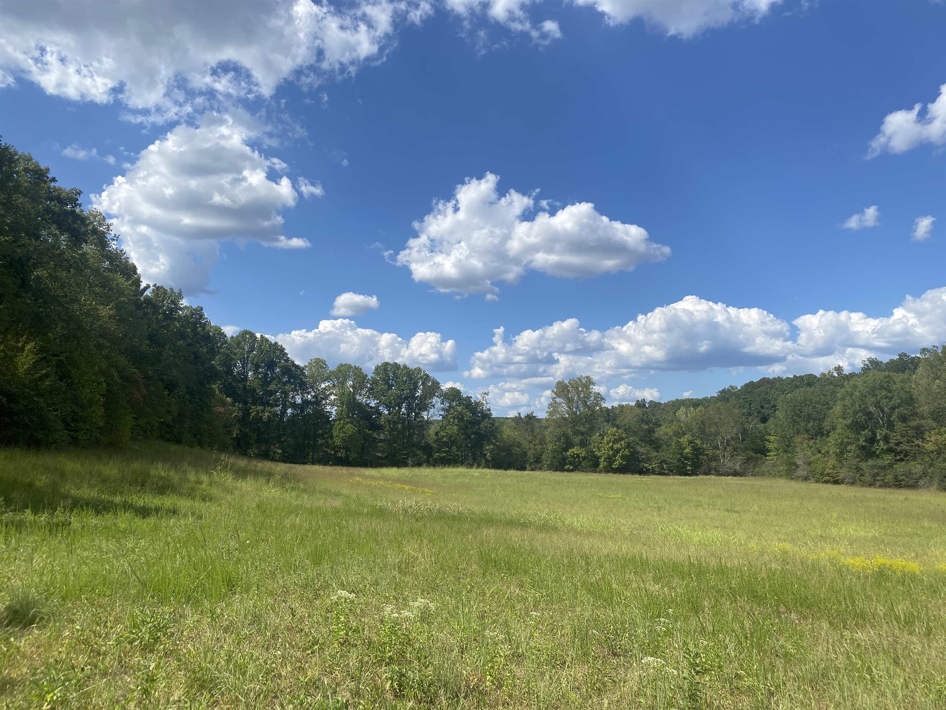 1 Simmons Branch Road Waynesboro, TN 38485 - Photo 11 of 29 a view of a big yard