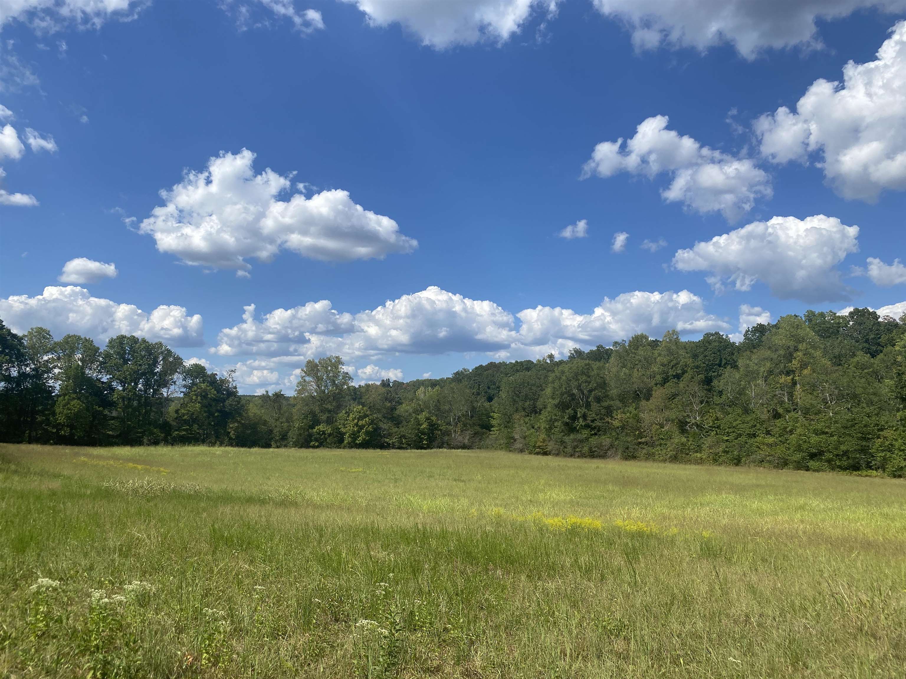 1 Simmons Branch Road Waynesboro, TN 38485 - Photo 12 of 29 a sunset view with swimming pool and trees in the background